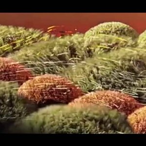 Timecop1983 - Lovers