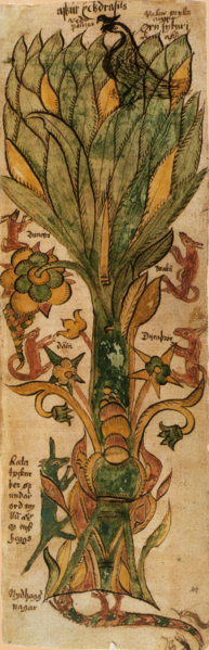 http://www.weavenworld.ru/uploads/images/Yggdrasil1.png